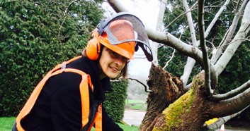 Volunteer blog: Vicky (and Stella the chainsaw)