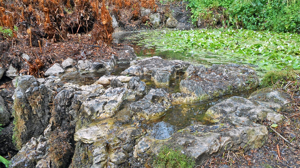 Gardens blog: Unearthing the ‘Holy Well’