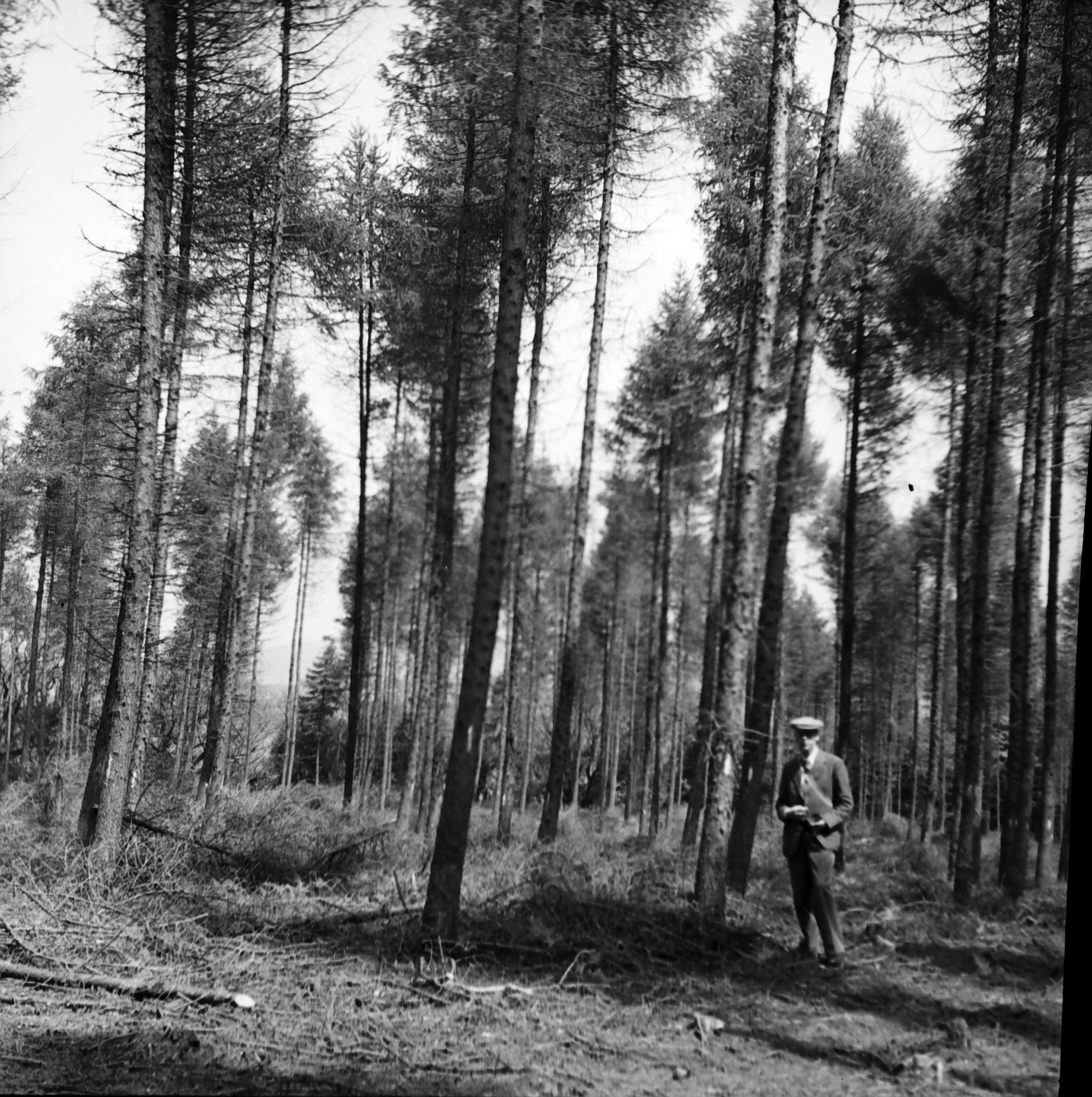 Wilfred Hiley in woodlands in Teign Valley, May 1940. Photo (c) Dartington Archive