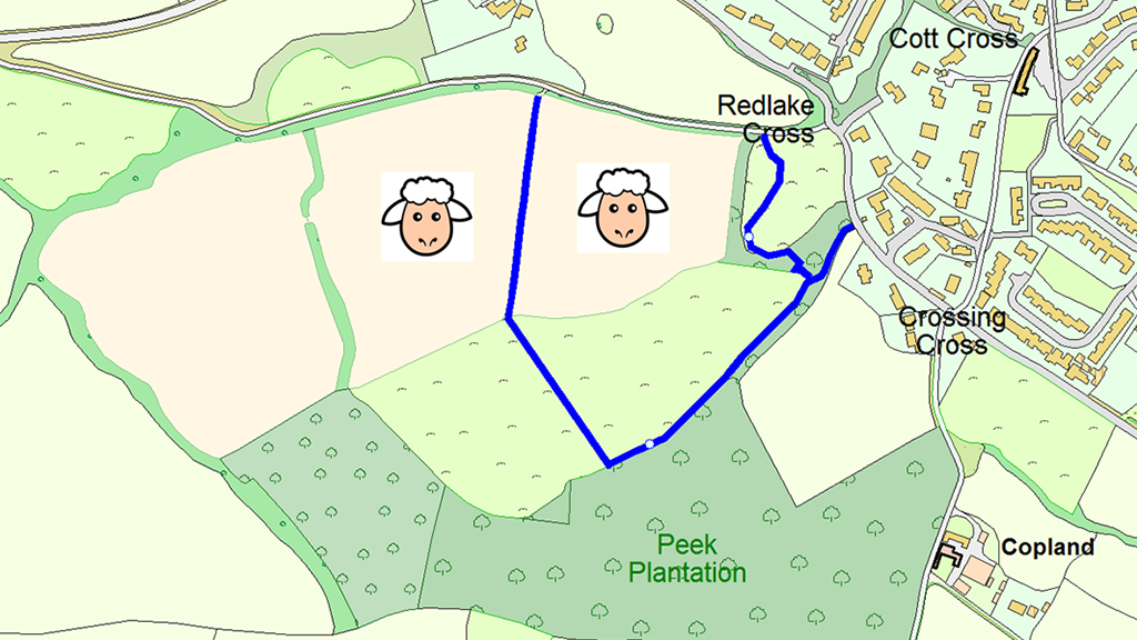 Map showing the new footpaths around Peek plantation, as drawn by Harriet who says she "cannot draw maps well"