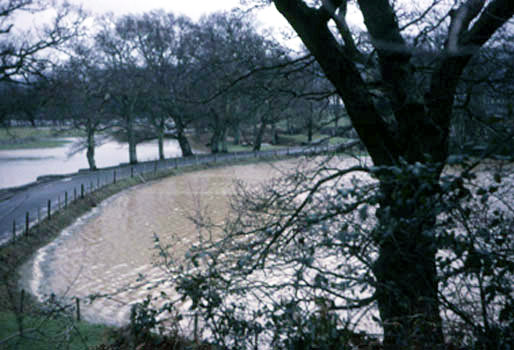Edge of Queen's Marsh, Dartington in flood, captured by Leonard Elmhirst on 30 Feb 1967