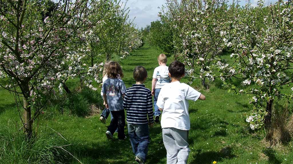 Children in Apricot Orchard. Photo: Marina O'Connell