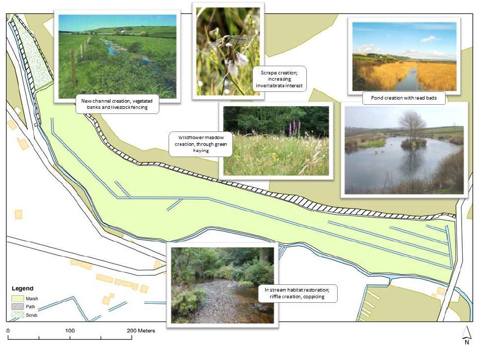 Map showing biodiversity and ecology improvement opportunities within Queen’s Marsh.