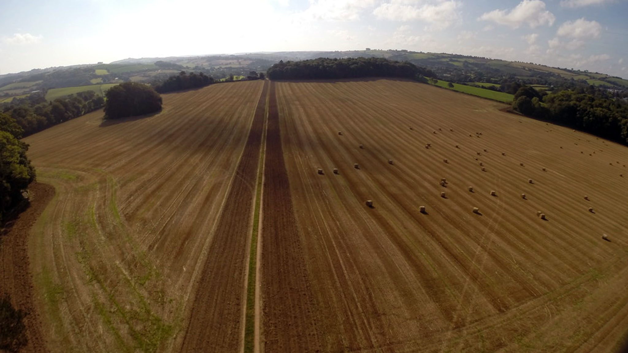The field at Dartington proposed for agroforestry use