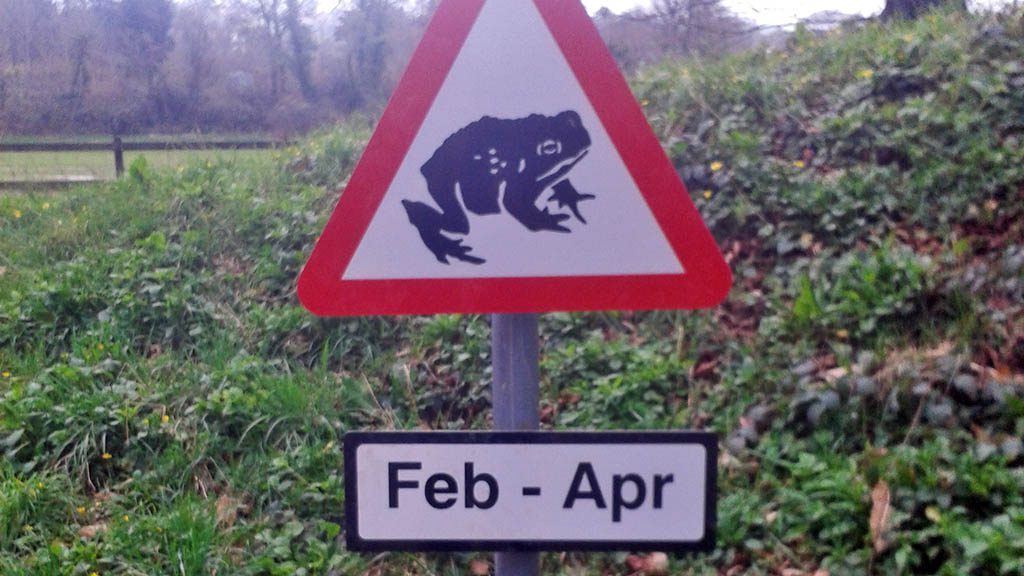 Toad Crossing warning sign