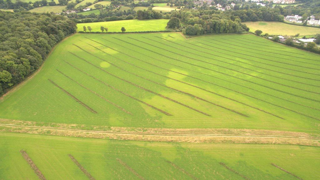 agroforestry field showing water patches