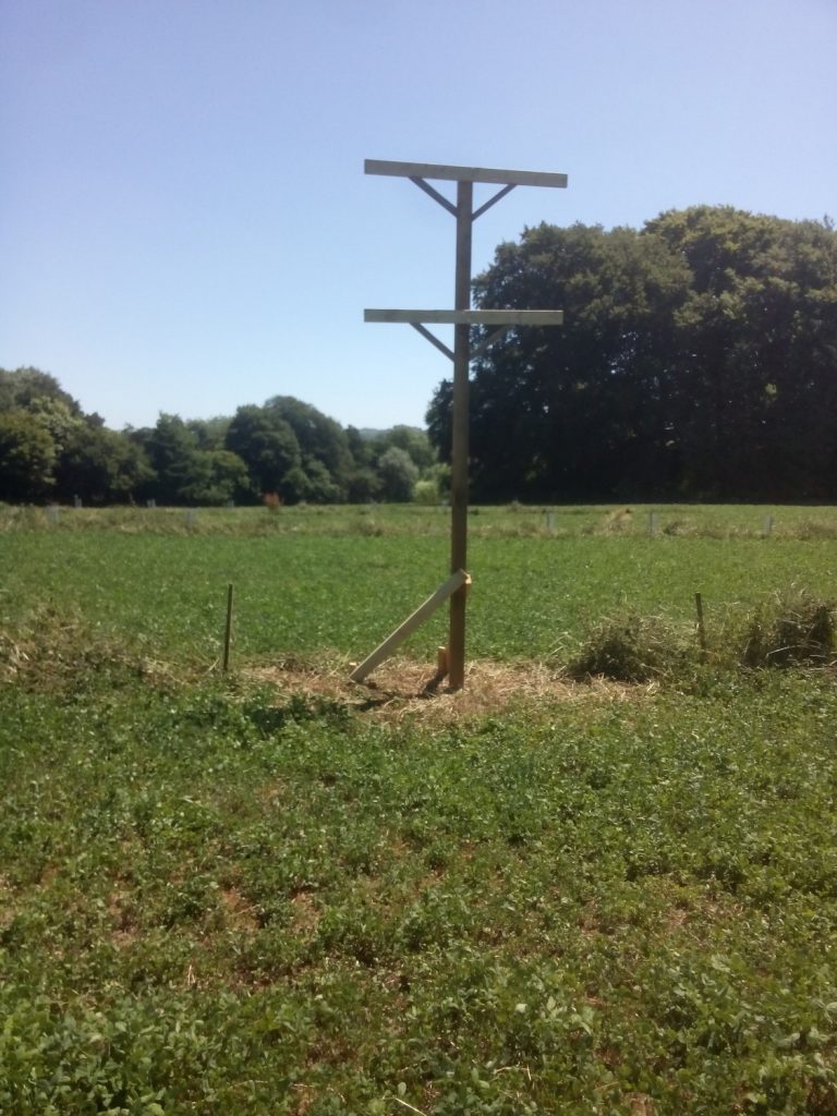 raptor posts in agroforestry field