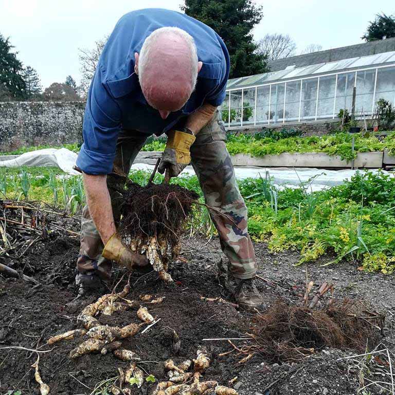 Dartington Walled Garden. Photo: Sarah Coates