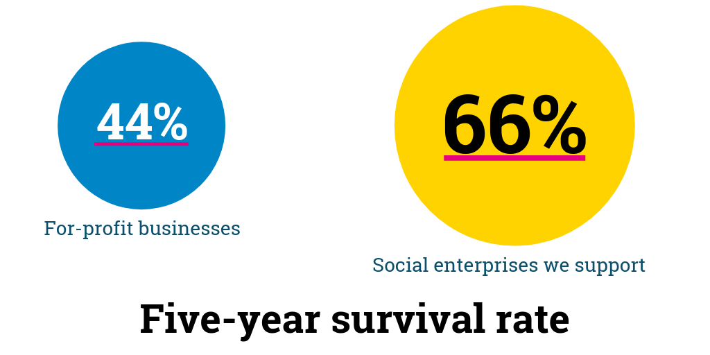 SSE Dartington - Survival rate