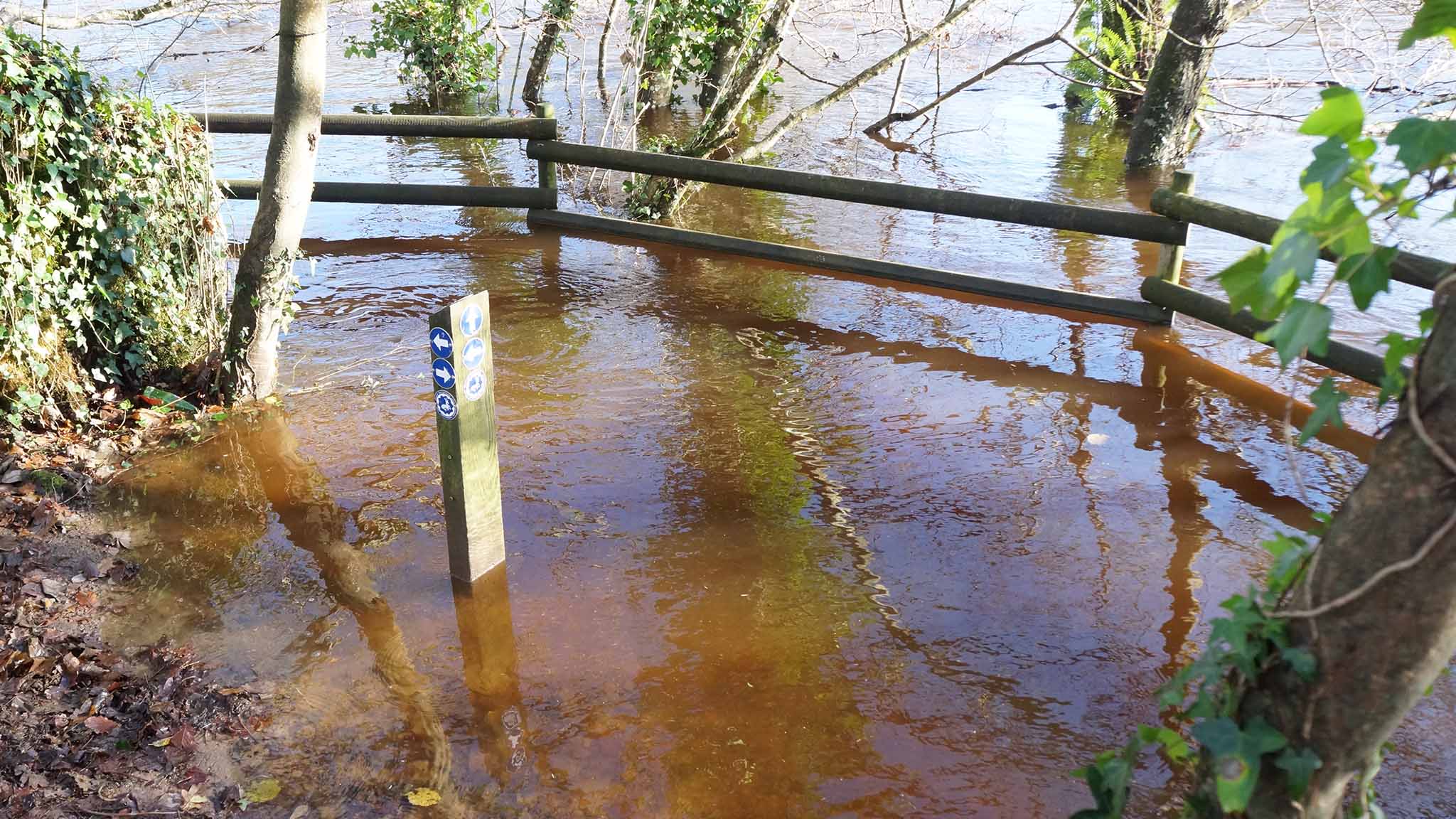 River Dart in flood. Which way now?