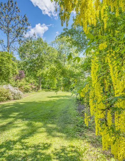 Dartington Gardens