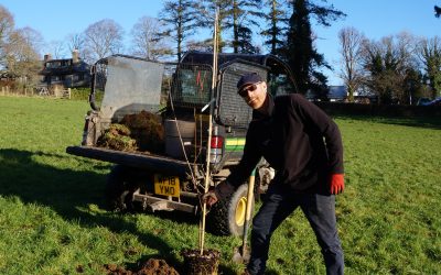 Celebrating 100 Years of the Elmhirst Family’s Legacy with a New Centenary Arboretum